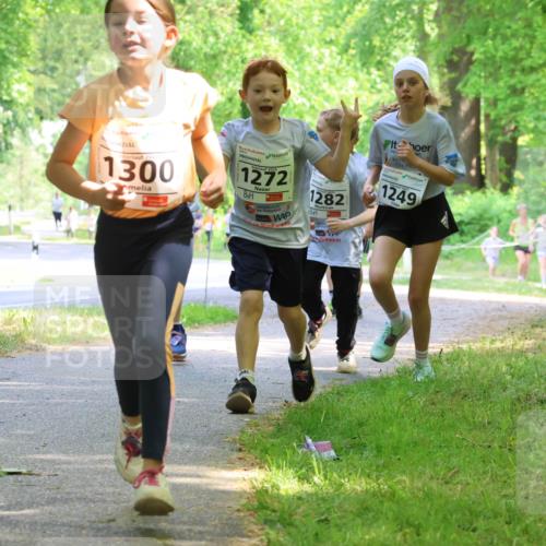 17.05.2025 - Störlauf Strokosch-Dieckow http://msf.ph/oto/7858157 17.05.2025 14:50:33 Laufen 2021, 1300, 2025, 1272, 1282, 112, 1249, 1428 meine-sportfotos.de