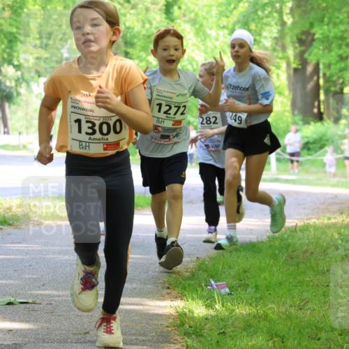 17.05.2025 - Störlauf Strokosch-Dieckow http://msf.ph/oto/7858163 17.05.2025 14:50:33 Laufen 2025, 1300, 1272, 282, 249 meine-sportfotos.de