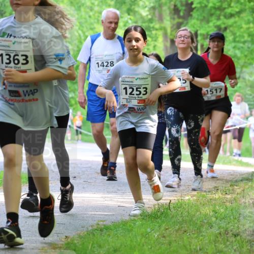 17.05.2025 - Störlauf Strokosch-Dieckow http://msf.ph/oto/7858182 17.05.2025 14:50:41 Laufen 2025, 1363, 1428, 2025, 1253, 5, 1517 meine-sportfotos.de