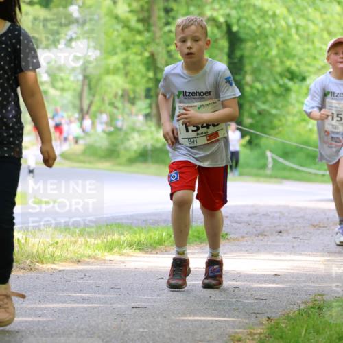 17.05.2025 - Störlauf Strokosch-Dieckow http://msf.ph/oto/7858216 17.05.2025 14:50:52 Laufen 16, 6, 154, 1515 meine-sportfotos.de