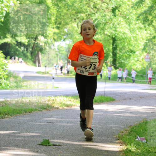 17.05.2025 - Störlauf Strokosch-Dieckow http://msf.ph/oto/7858325 17.05.2025 14:51:25 Laufen 273 meine-sportfotos.de