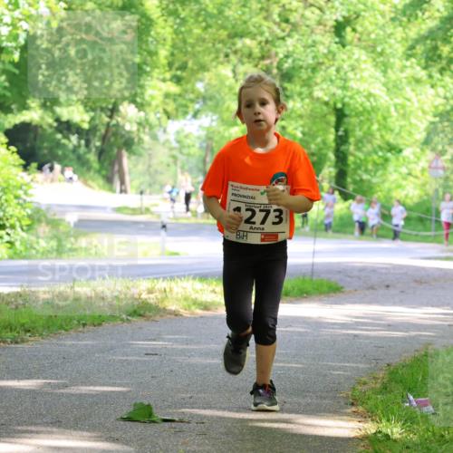 17.05.2025 - Störlauf Strokosch-Dieckow http://msf.ph/oto/7858331 17.05.2025 14:51:25 Laufen 2025, 273 meine-sportfotos.de