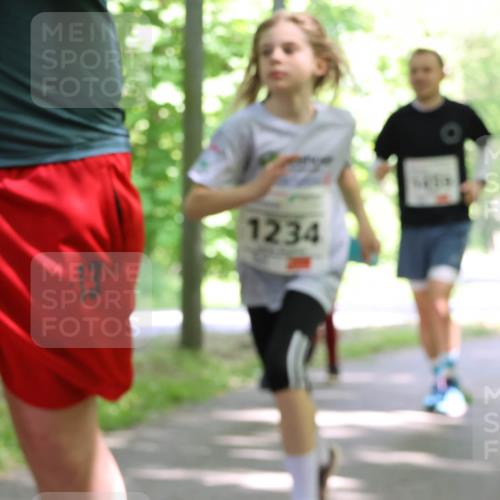 17.05.2025 - Störlauf Strokosch-Dieckow http://msf.ph/oto/7858381 17.05.2025 14:51:58 Laufen 1234 meine-sportfotos.de