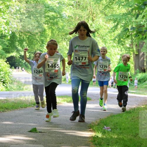 17.05.2025 - Störlauf Strokosch-Dieckow http://msf.ph/oto/7858405 17.05.2025 14:52:08 Laufen 1477, 1284, 2025, 1465, 1279, 1274, 1554 meine-sportfotos.de