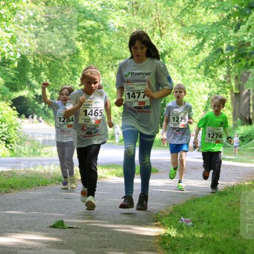 17.05.2025 - Störlauf Strokosch-Dieckow http://msf.ph/oto/7858408 17.05.2025 14:52:08 Laufen 1284, 2029, 1465, 2025, 1477, 1279, 1274, 155 meine-sportfotos.de
