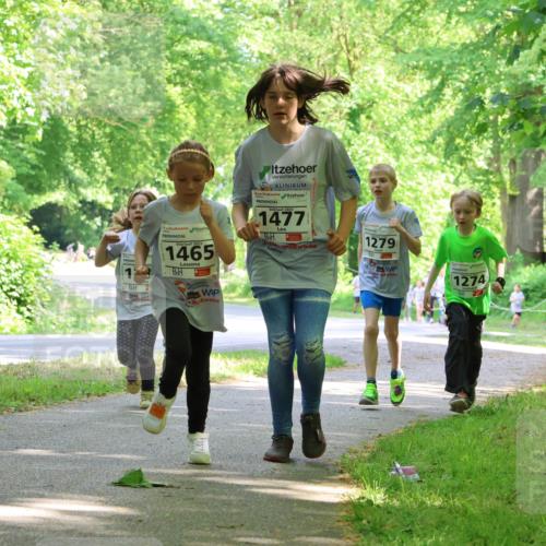17.05.2025 - Störlauf Strokosch-Dieckow http://msf.ph/oto/7858415 17.05.2025 14:52:08 Laufen 1465, 1477, 1279, 1274, 155 meine-sportfotos.de