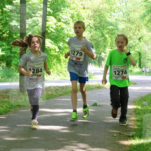 17.05.2025 - Störlauf Strokosch-Dieckow http://msf.ph/oto/7858418 17.05.2025 14:52:12 Laufen 1279, 2025, 1284, 2025, 1274, 155, 1563 meine-sportfotos.de