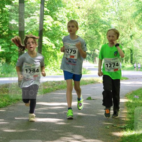 17.05.2025 - Störlauf Strokosch-Dieckow http://msf.ph/oto/7858420 17.05.2025 14:52:12 Laufen 2025, 1284, 1279, 1274, 1563 meine-sportfotos.de