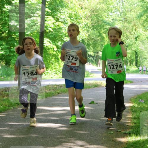 17.05.2025 - Störlauf Strokosch-Dieckow http://msf.ph/oto/7858423 17.05.2025 14:52:12 Laufen 2025, 1284, 1279, 1274 meine-sportfotos.de