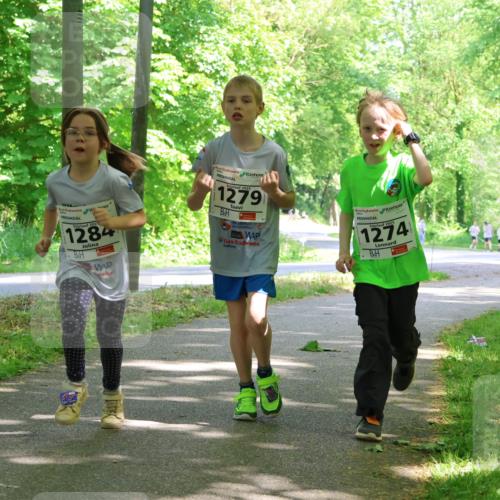 17.05.2025 - Störlauf Strokosch-Dieckow http://msf.ph/oto/7858425 17.05.2025 14:52:12 Laufen 2025, 1284, 2025, 1279, 3, 1274, 1554, 1563 meine-sportfotos.de