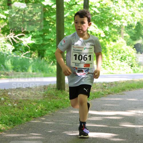 17.05.2025 - Störlauf Strokosch-Dieckow http://msf.ph/oto/7858460 17.05.2025 14:52:29 Laufen 2025, 1061 meine-sportfotos.de