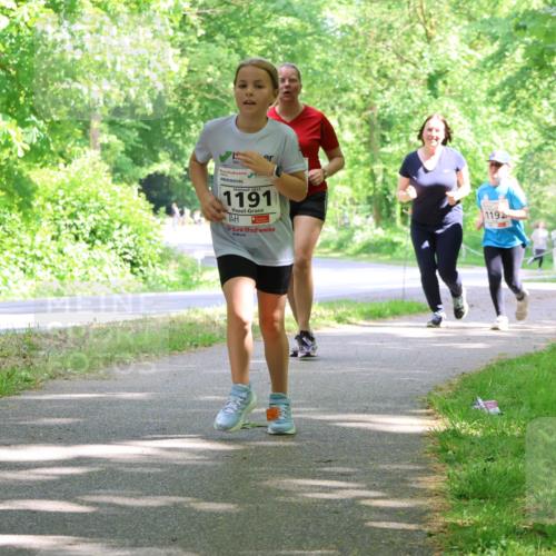 17.05.2025 - Störlauf Strokosch-Dieckow http://msf.ph/oto/7858631 17.05.2025 14:53:42 Laufen 2025, 1191, 119 meine-sportfotos.de