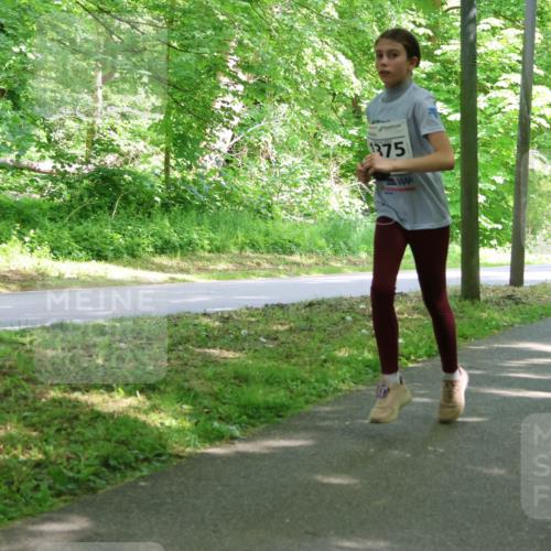 17.05.2025 - Störlauf Strokosch-Dieckow http://msf.ph/oto/7858908 17.05.2025 14:55:50 Laufen 1375 meine-sportfotos.de