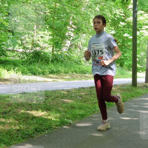 17.05.2025 - Störlauf Strokosch-Dieckow http://msf.ph/oto/7858916 17.05.2025 14:55:50 Laufen 1375 meine-sportfotos.de