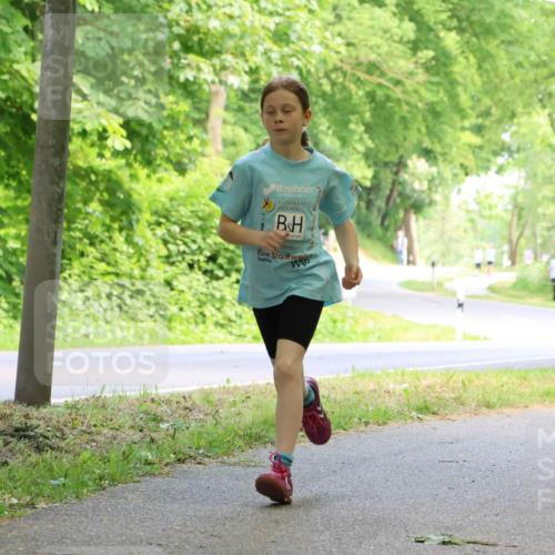 17.05.2025 - Störlauf Strokosch-Dieckow http://msf.ph/oto/7858969 17.05.2025 14:57:13 Laufen  meine-sportfotos.de