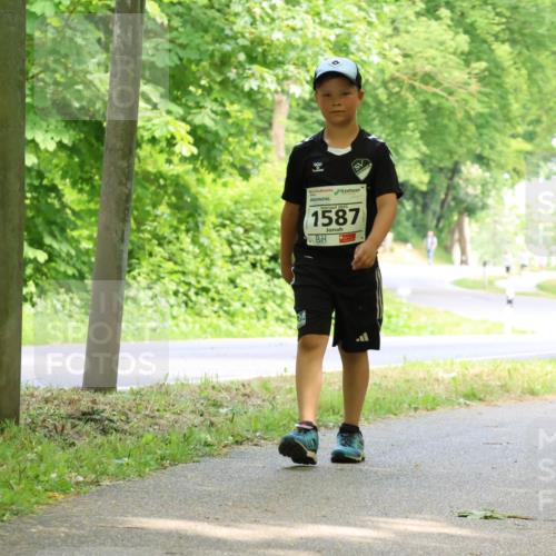 17.05.2025 - Störlauf Strokosch-Dieckow http://msf.ph/oto/7858981 17.05.2025 14:57:19 Laufen 2025, 1587 meine-sportfotos.de