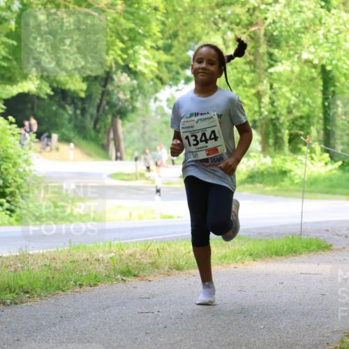 17.05.2025 - Störlauf Strokosch-Dieckow http://msf.ph/oto/7859000 17.05.2025 14:57:29 Laufen 2025, 1344 meine-sportfotos.de