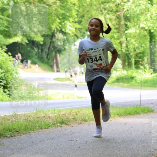 17.05.2025 - Störlauf Strokosch-Dieckow http://msf.ph/oto/7859001 17.05.2025 14:57:29 Laufen 2025, 1344 meine-sportfotos.de