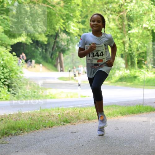 17.05.2025 - Störlauf Strokosch-Dieckow http://msf.ph/oto/7859004 17.05.2025 14:57:29 Laufen 2025, 1344 meine-sportfotos.de