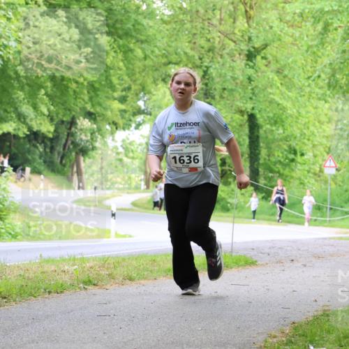 17.05.2025 - Störlauf Strokosch-Dieckow http://msf.ph/oto/7859039 17.05.2025 14:58:05 Laufen 1636 meine-sportfotos.de