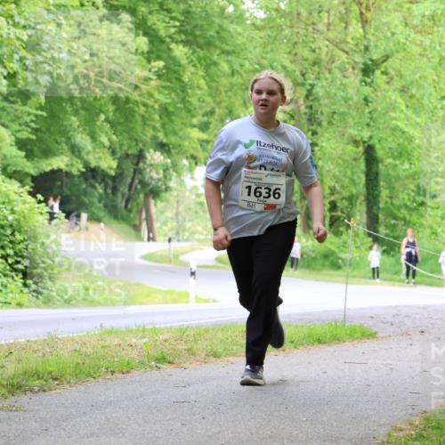 17.05.2025 - Störlauf Strokosch-Dieckow http://msf.ph/oto/7859047 17.05.2025 14:58:06 Laufen 1636 meine-sportfotos.de