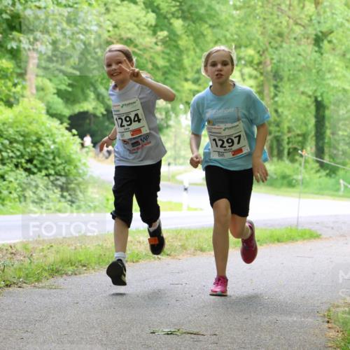 17.05.2025 - Störlauf Strokosch-Dieckow http://msf.ph/oto/7859060 17.05.2025 14:58:31 Laufen 2025, 1294, 1297 meine-sportfotos.de