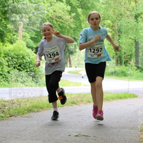 17.05.2025 - Störlauf Strokosch-Dieckow http://msf.ph/oto/7859065 17.05.2025 14:58:31 Laufen 1294, 2025, 1297 meine-sportfotos.de