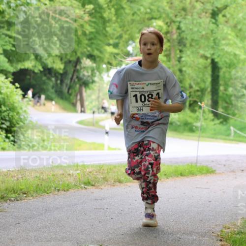 17.05.2025 - Störlauf Strokosch-Dieckow http://msf.ph/oto/7859079 17.05.2025 14:58:41 Laufen 2025, 1084 meine-sportfotos.de