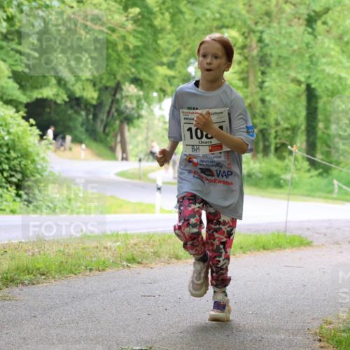17.05.2025 - Störlauf Strokosch-Dieckow http://msf.ph/oto/7859081 17.05.2025 14:58:41 Laufen 100, 5 meine-sportfotos.de