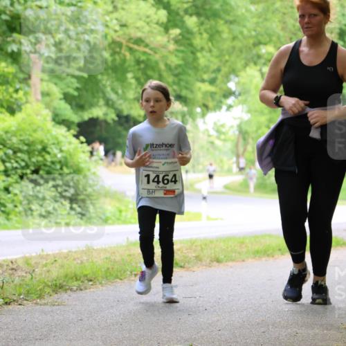 17.05.2025 - Störlauf Strokosch-Dieckow http://msf.ph/oto/7859091 17.05.2025 14:58:47 Laufen 1464 meine-sportfotos.de