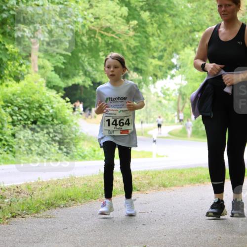 17.05.2025 - Störlauf Strokosch-Dieckow http://msf.ph/oto/7859094 17.05.2025 14:58:47 Laufen 2025, 1464, 5 meine-sportfotos.de