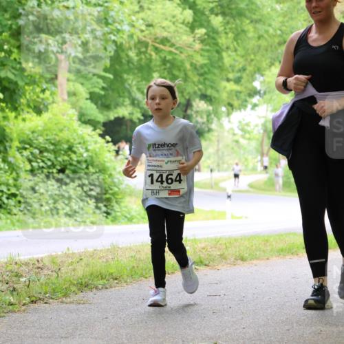 17.05.2025 - Störlauf Strokosch-Dieckow http://msf.ph/oto/7859098 17.05.2025 14:58:47 Laufen 2025, 1464 meine-sportfotos.de