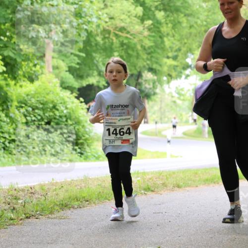 17.05.2025 - Störlauf Strokosch-Dieckow http://msf.ph/oto/7859100 17.05.2025 14:58:47 Laufen 2025, 1464 meine-sportfotos.de