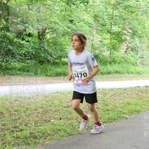 17.05.2025 - Störlauf Strokosch-Dieckow http://msf.ph/oto/7859170 17.05.2025 15:00:12 Laufen 1470 meine-sportfotos.de