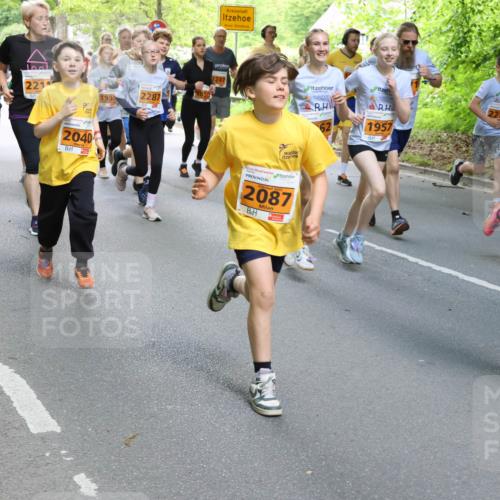 17.05.2025 - Störlauf Strokosch-Dieckow http://msf.ph/oto/7859238 17.05.2025 15:01:25 Laufen 221, 2397, 1966, 2287, 1934, 2040, 2247, 2025, 2087, 1957, 324, 207 meine-sportfotos.de