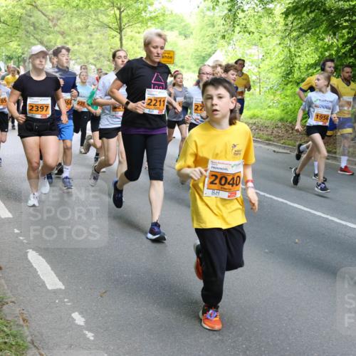 17.05.2025 - Störlauf Strokosch-Dieckow http://msf.ph/oto/7859250 17.05.2025 15:01:26 Laufen 2104, 2211, 2237, 166, 229, 2397, 20, 2040, 1956, 1962 meine-sportfotos.de