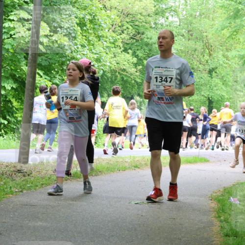 17.05.2025 - Störlauf Strokosch-Dieckow http://msf.ph/oto/7859390 17.05.2025 15:02:32 Laufen 1254, 1347, 1350 meine-sportfotos.de