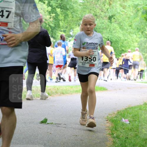 17.05.2025 - Störlauf Strokosch-Dieckow http://msf.ph/oto/7859396 17.05.2025 15:02:34 Laufen 2025, 1347, 2025, 1350 meine-sportfotos.de