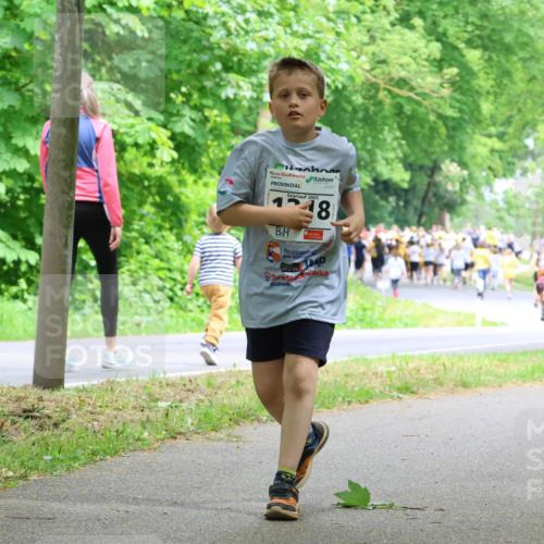 17.05.2025 - Störlauf Strokosch-Dieckow http://msf.ph/oto/7859411 17.05.2025 15:03:03 Laufen 2025, 48 meine-sportfotos.de