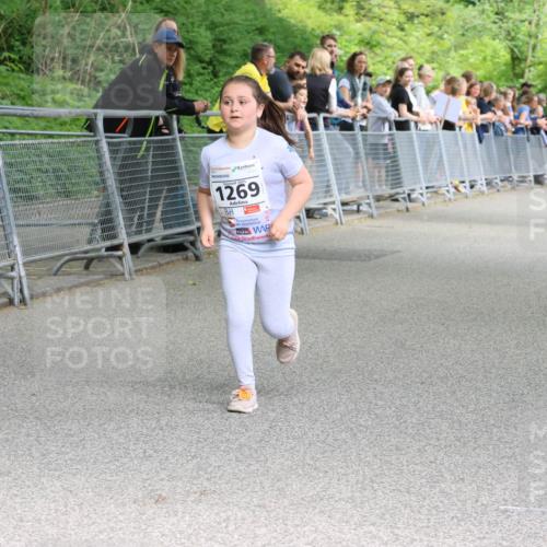 17.05.2025 - Störlauf Strokosch-Dieckow http://msf.ph/oto/7859433 17.05.2025 15:07:56 Laufen 1269 meine-sportfotos.de