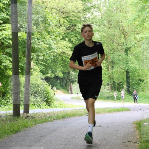 17.05.2025 - Störlauf Strokosch-Dieckow http://msf.ph/oto/7859548 17.05.2025 15:20:10 Laufen 2826, 0 meine-sportfotos.de