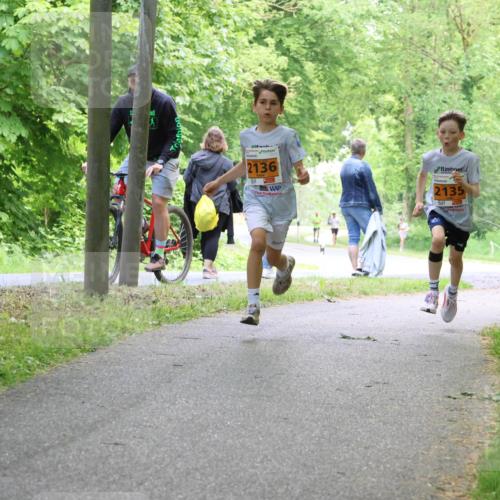 17.05.2025 - Störlauf Strokosch-Dieckow http://msf.ph/oto/7859645 17.05.2025 15:21:32 Laufen 2136, 2135 meine-sportfotos.de