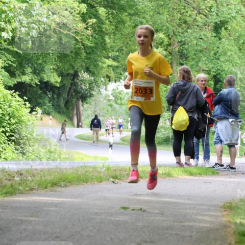 17.05.2025 - Störlauf Strokosch-Dieckow http://msf.ph/oto/7859973 17.05.2025 15:23:24 Laufen 2033 meine-sportfotos.de
