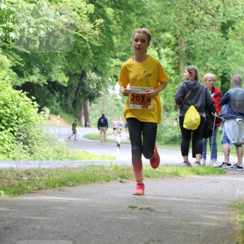 17.05.2025 - Störlauf Strokosch-Dieckow http://msf.ph/oto/7859985 17.05.2025 15:23:24 Laufen 2033 meine-sportfotos.de