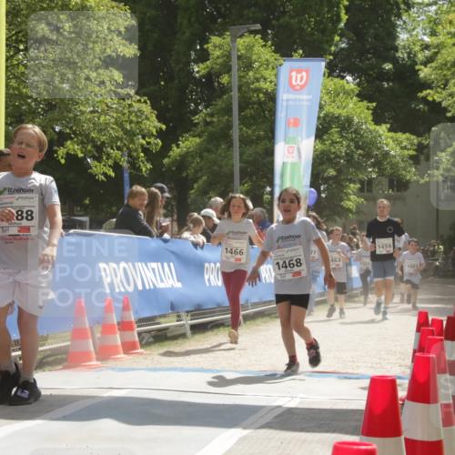 17.05.2025 - Störlauf H.Heesch http://msf.ph/oto/7860095 17.05.2025 14:54:28 Ziel  meine-sportfotos.de