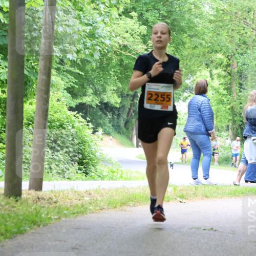 17.05.2025 - Störlauf Strokosch-Dieckow http://msf.ph/oto/7860534 17.05.2025 15:25:44 Laufen 2255 meine-sportfotos.de