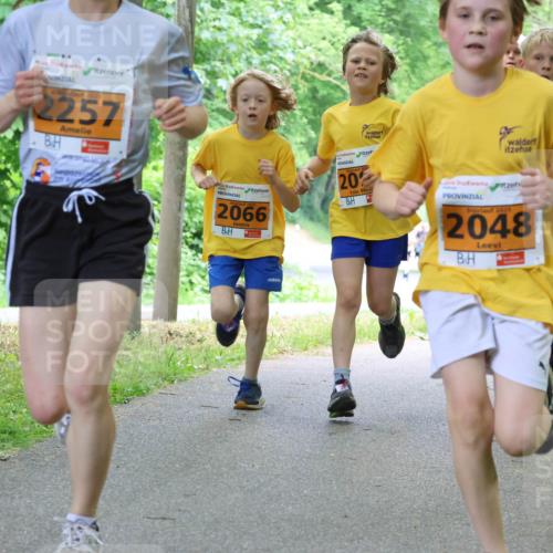 17.05.2025 - Störlauf Strokosch-Dieckow http://msf.ph/oto/7860620 17.05.2025 15:25:59 Laufen 2025, 2257, 2066, 202, 20, 2025, 2048, 5261, 189 meine-sportfotos.de