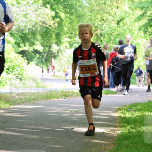 17.05.2025 - Störlauf Strokosch-Dieckow http://msf.ph/oto/7860943 17.05.2025 15:26:58 Laufen 2025, 154, 2025, 2362, 5267, 5268, 2364 meine-sportfotos.de
