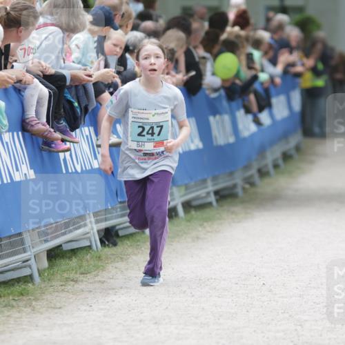17.05.2025 - Störlauf H.Heesch http://msf.ph/oto/7864589 17.05.2025 13:41:43 Ziel  meine-sportfotos.de