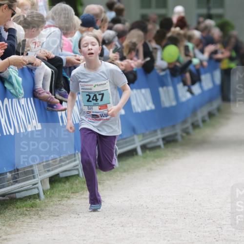 17.05.2025 - Störlauf H.Heesch http://msf.ph/oto/7864605 17.05.2025 13:41:43 Ziel  meine-sportfotos.de